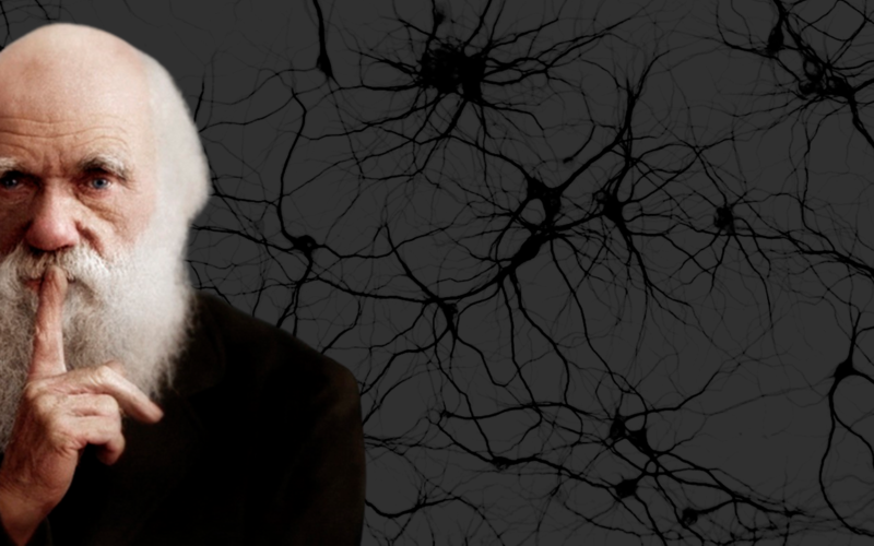 Ilustração de Charles Darwin com neurônios ao redor, simbolizando a conexão entre suas teorias Darwinismo Social e o Racismo Científico.