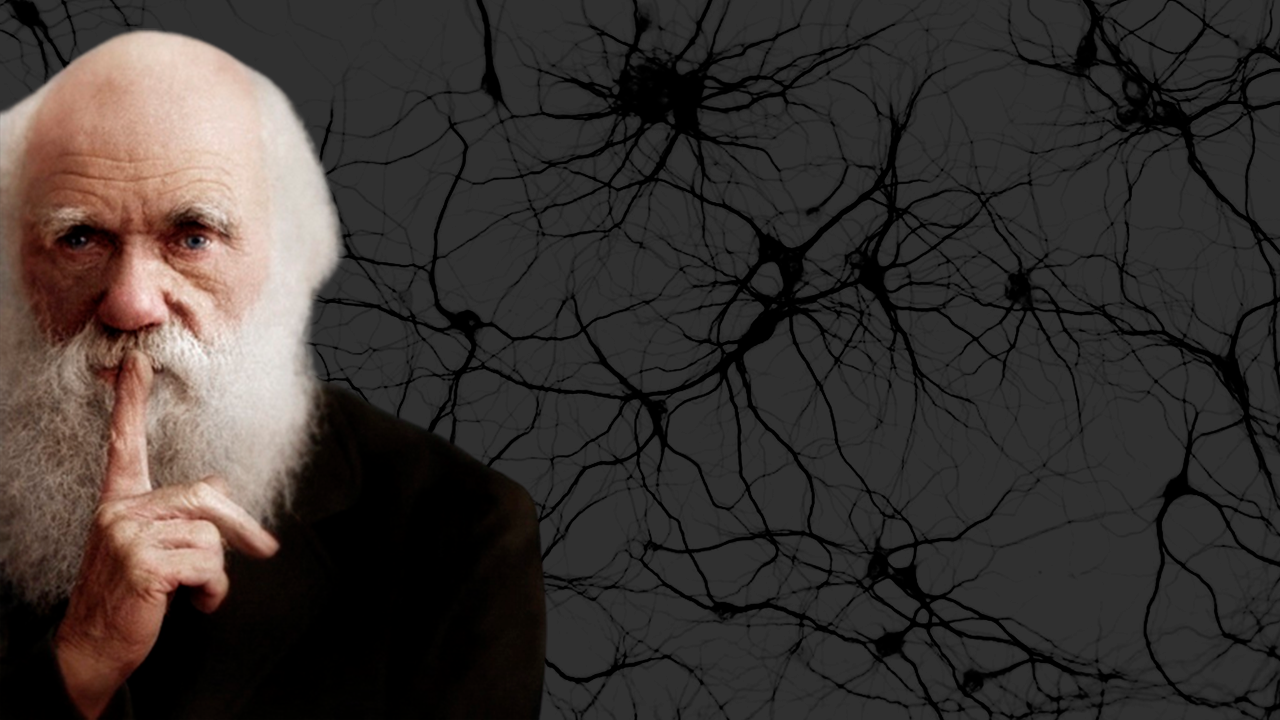Ilustração de Charles Darwin com neurônios ao redor, simbolizando a conexão entre suas teorias Darwinismo Social e o Racismo Científico.